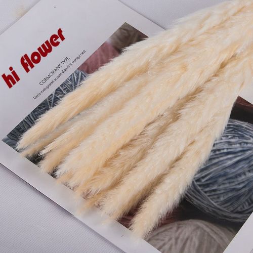 Dried Flowers Pampas Grass Mixed Bunny Rabbit Tail Lagurus Bouquet Wedding Christmas Decoration Natural Reed Flower Home Decora Dried Flowers Pampas Grass Mixed Bunny Rabbit Tail Lagurus Bouquet Wedding Christmas Decoration Natural Reed Flower Home Decora