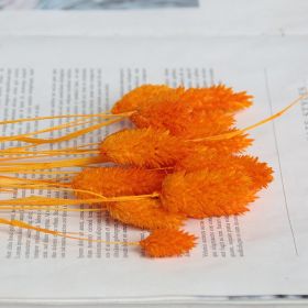 Dried Flowers Pampas Grass Mixed Bunny Rabbit Tail Lagurus Bouquet Wedding Christmas Decoration Natural Reed Flower Home Decora (Color: Gem orange, size: 30pcs)