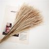 Dried Flowers Pampas Grass Mixed Bunny Rabbit Tail Lagurus Bouquet Wedding Christmas Decoration Natural Reed Flower Home Decora