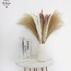 Dried Flowers Pampas Grass Mixed Bunny Rabbit Tail Lagurus Bouquet Wedding Christmas Decoration Natural Reed Flower Home Decora